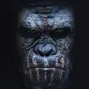 Planet of the Apes Wallpapers